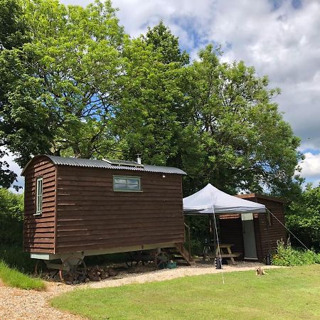 The Shepherds Hut At The Shippen, Tiphayes ホニートン エクステリア 写真