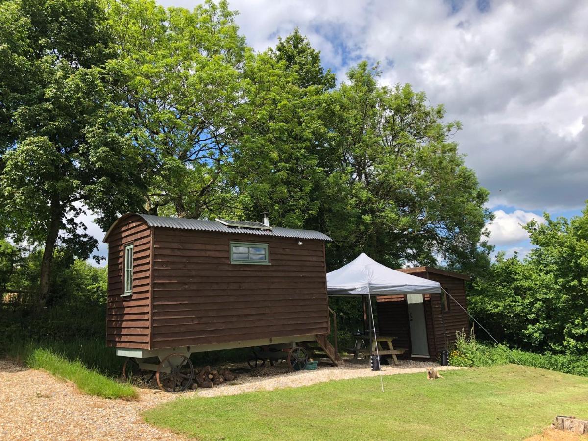 The Shepherds Hut At The Shippen, Tiphayes ホニートン エクステリア 写真