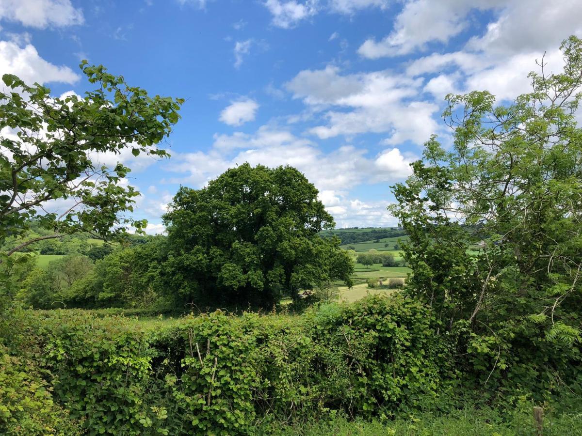 The Shepherds Hut At The Shippen, Tiphayes ホニートン エクステリア 写真